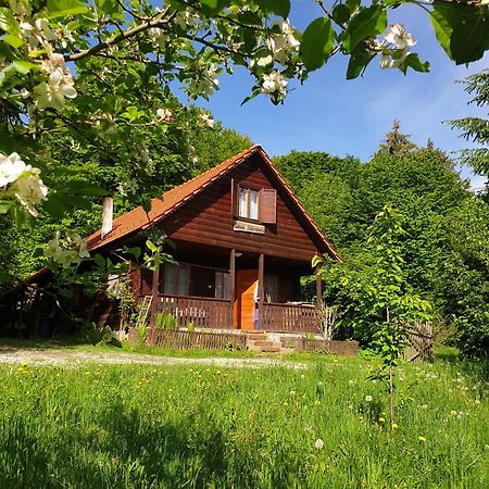Casa Lacramioara Sîmbăta de Sus Esterno foto