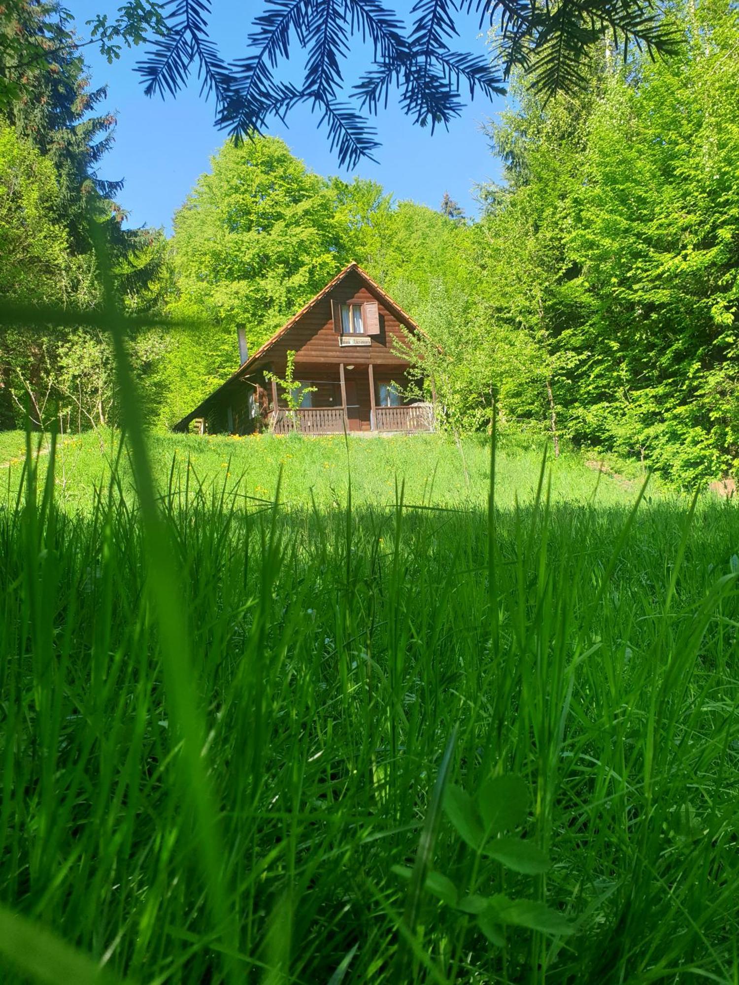 Casa Lacramioara Sîmbăta de Sus Esterno foto