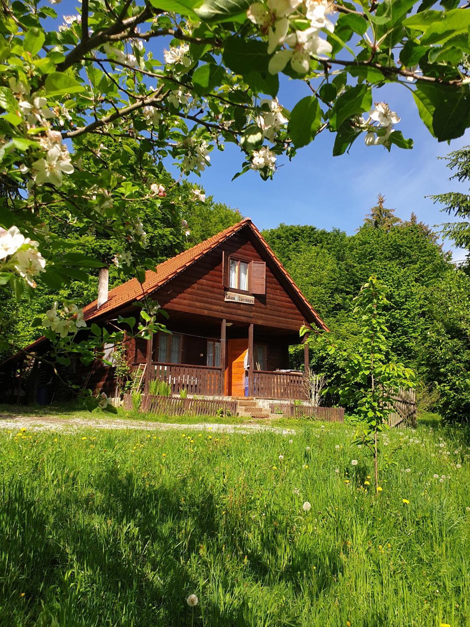 Casa Lacramioara Sîmbăta de Sus Esterno foto
