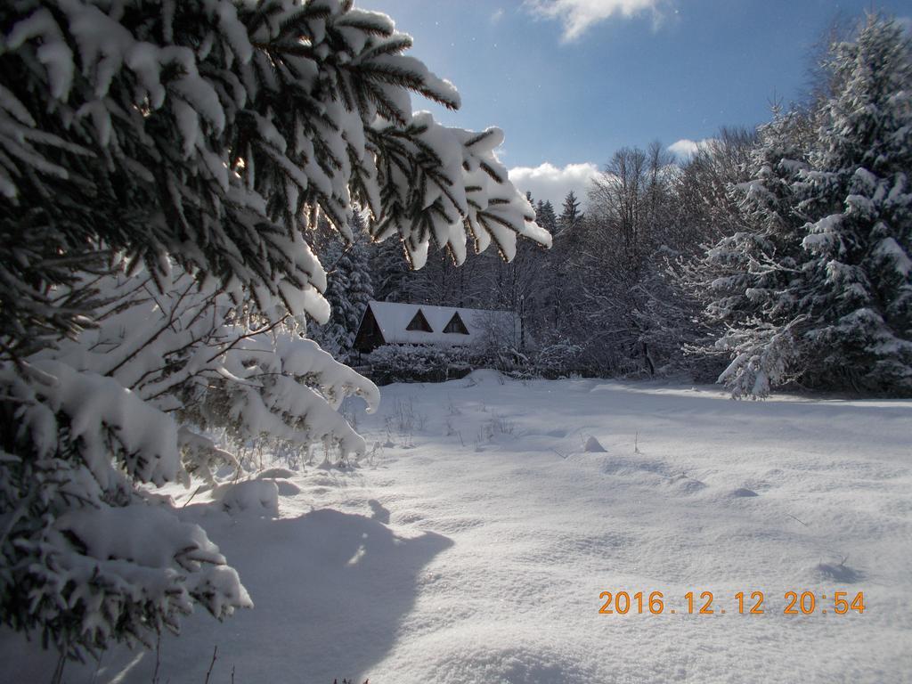 Casa Lacramioara Sîmbăta de Sus Esterno foto